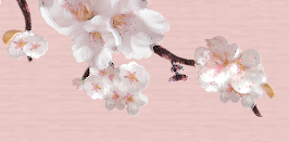 �ӱ��� �ӱ��պ��� �ӱ���Ǯ��